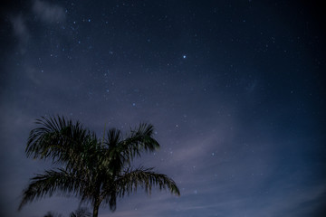 Céu Estrelado