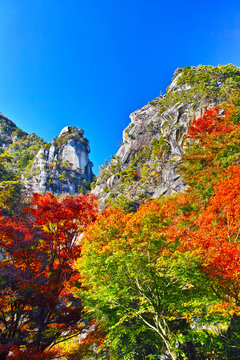 1 095 Best 甲府市 Images Stock Photos Vectors Adobe Stock