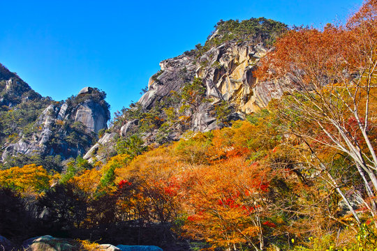 甲府市images Browse 10 916 Stock Photos Vectors And Video Adobe Stock