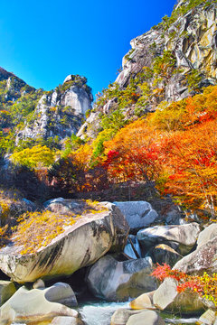 Die 234 Besten Bilder Stock Fotos Und Vektorgrafiken Zu See Kriegsflagge Adobe Stock
