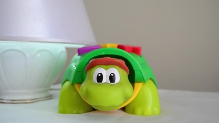 turtle educational toy pan left copy space early development concept