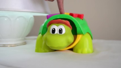 educational toy, turtle head poping up when button is pressed