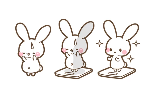 デブ活で太って焦るうさぎ ダイエットが成功し美しくやせたうさぎ 体重計にのるウサギちゃんイラスト素材 Stock Vector Adobe Stock