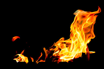 Fototapeta premium The Fire flames on a black background.