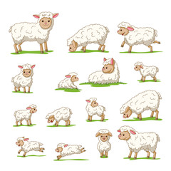 Collection of cute cartoon sheep and lambs. Isolated on white background.