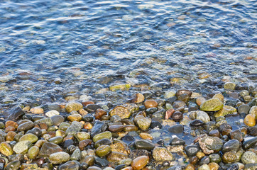 Polished Rock and Ocean on Beach on Lopez Island Washington