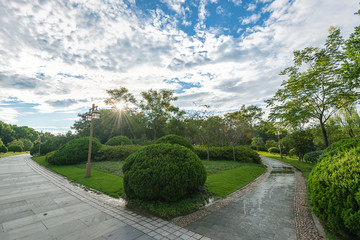 garden in park