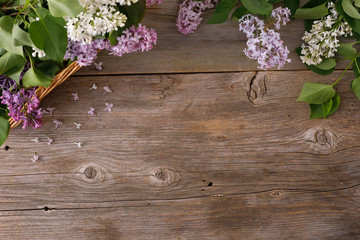 Naklejka na ściany i meble Decor of flowers on the background of vintage wooden planks.Vintage background with lilac flowers and place under the text. View from above. Flat lay. Cutlery.