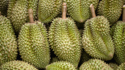 King of Fruit. Fresh Durian in Thailand.