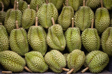 King of Fruit. Fresh Durian in Thailand.
