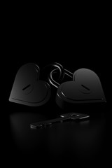 Couple heart shape of master key. 3D rendering.