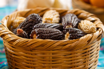 a handmade mexican basket with different variety of corn, blue corn, yellow corn