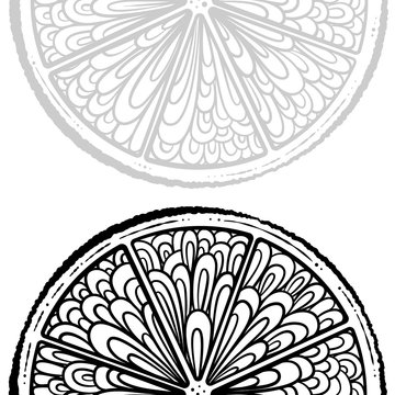 Black and white citrus silce background