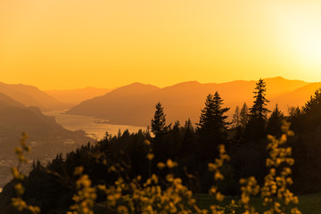 Glowing golden orange sunset sky over silhouetted Pacific Northwest trees and layers of mountains in the Columbia River Gorge