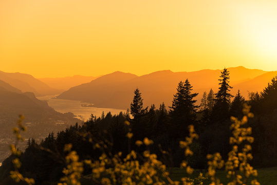 Glowing golden orange sunset sky over silhouetted Pacific Northwest trees and layers of mountains in the Columbia River Gorge