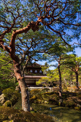 Fototapeta na wymiar Silver Pavilion through the branches of a zen garden in Ginkakuji temple in Kyoto, Japan.