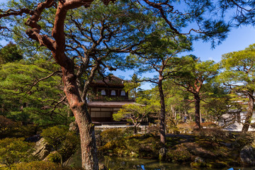 Silver Pavilion through the trees of a zen garden in Ginkakuji temple in Kyoto, Japan.