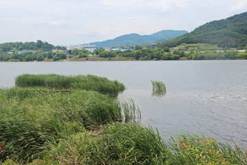 낙동강변 풍경