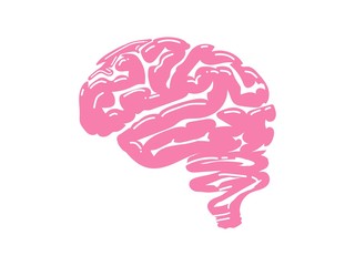 illustration human brain vector