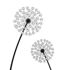 Vector black nice line dandelions created from hearts. Isolated on white background