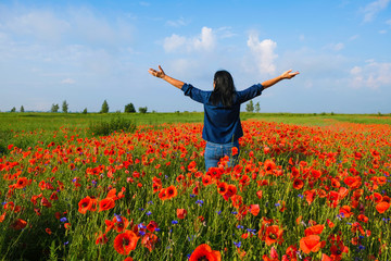 Happy lady 59 years old in blue clothes stands in the field of poppies turned back. The woman raised her hands in the sky. Summer Morning in Ukraine.