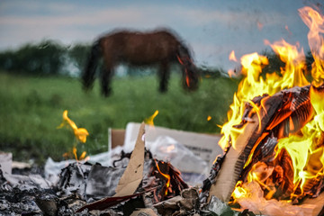 Burning Waste on Farmland with a Horse in the Background
