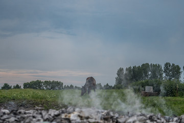 Burning Waste on Farmland with a Horse in the Background
