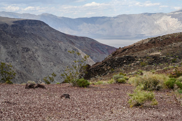 Traveling in South California around Lone Pines. Landscape with snowed Mountain Whitney on the back 