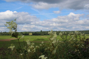 Fototapeta na wymiar landscape with green field and blue sky 2