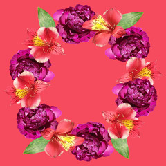 Obraz premium Beautiful floral circle of red alstroemeria and burgundy peonies. Isolated