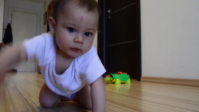 cute seven months old baby boy learning crawling,dolly out shot