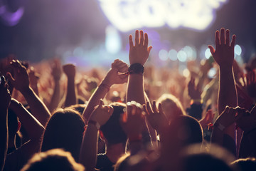 Picture of party people at music festival