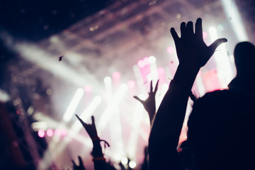 Picture of party people at music festival