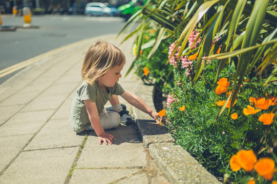 Little toddler picking flowers in the street