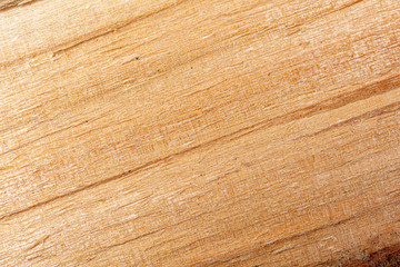 Old wood as an abstract background