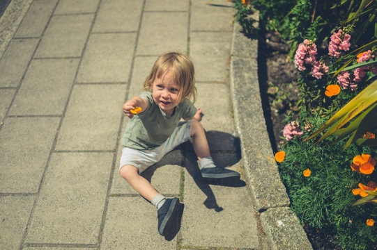 Little toddler picking flowers in the street