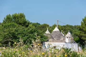 Trulli of the Itria valley. Details in the sky. Puglia, Italy.