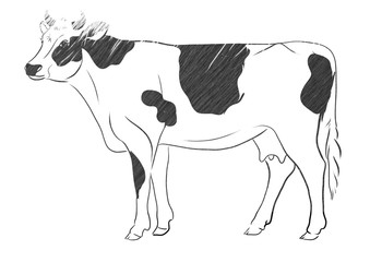 Beautiful art cow symbol illustration