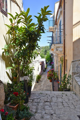 Fototapeta na wymiar Plants and flowers in a street of the town of Modica in Sicily