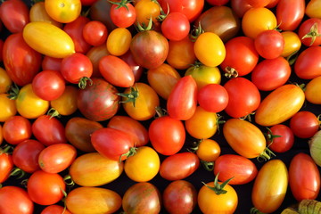 Tomatoes.