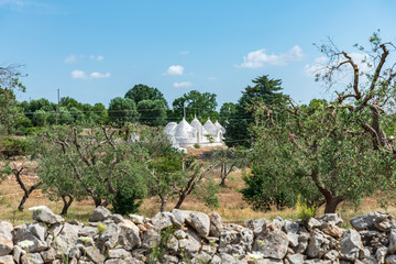 Trulli in the Itria valley. Puglia, Italy.