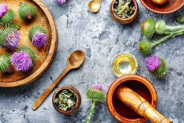 Milk thistle with flowers