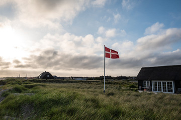 danish flag