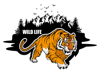 typography slogan wild life with tiger illustration, used for printing on t shirt, vector graphics to design
