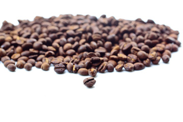 Roasted coffee bean on white surface