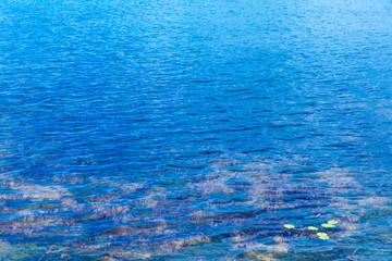 The blue water in the lake sees the ground and algae.