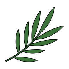 branch with leafs plants icon