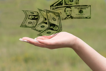 Eine Frau hat Dollar Geldscheine auf der Hand
