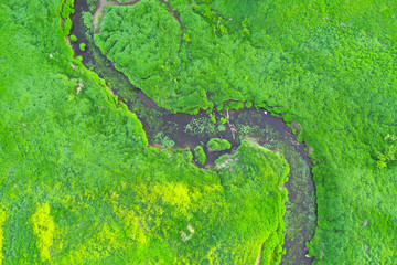 Aerial landscape of winding small river, stream in green field, top view meadow.