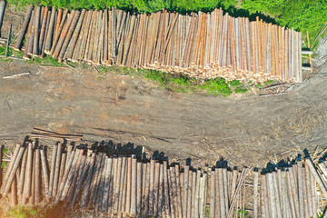 Logging, log cabin trunks of conifers, top aerial view.